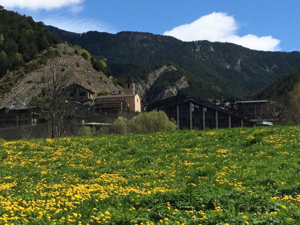 Hotel Ordino Room photo